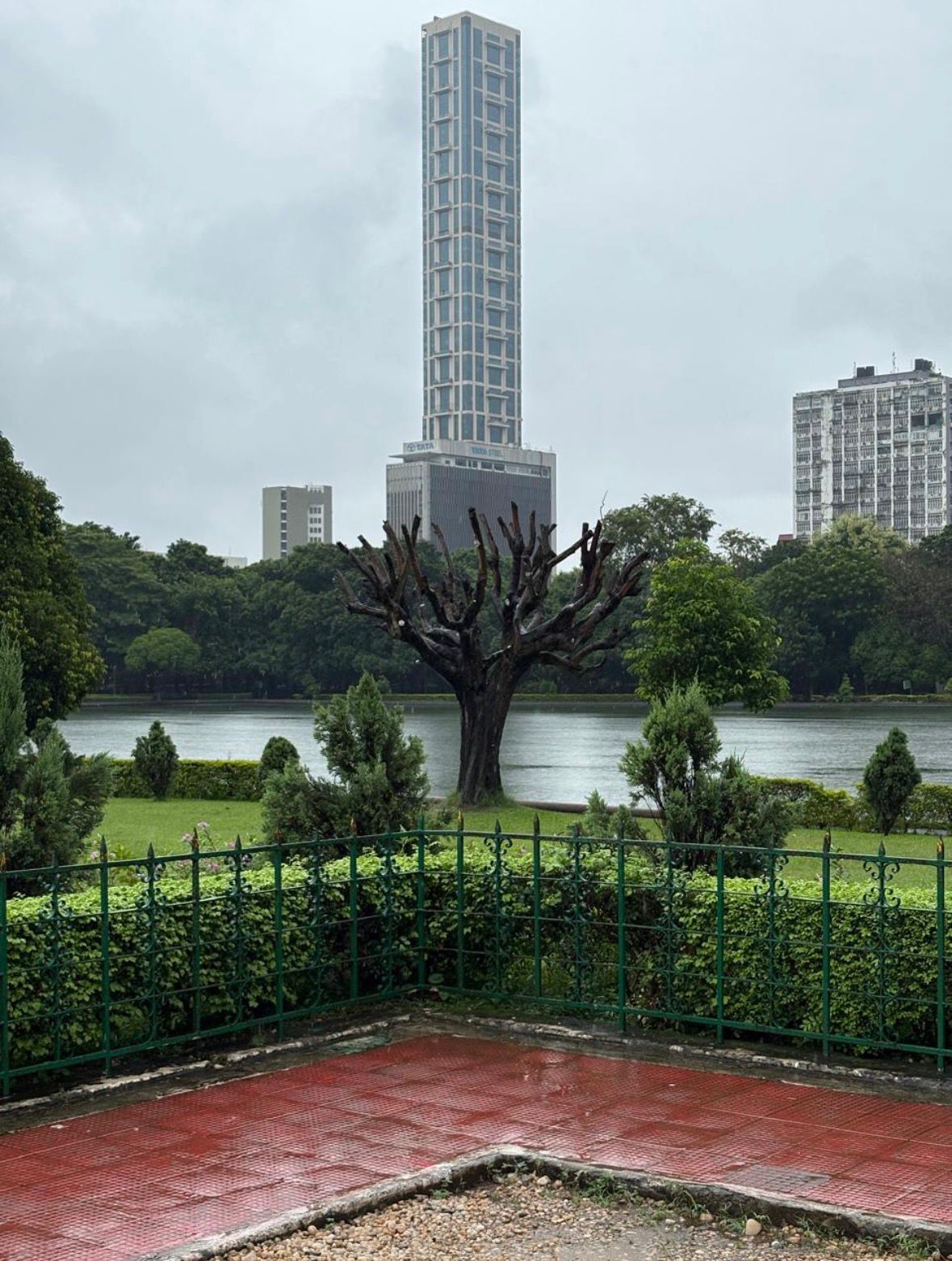 Rise of skyscrapers amidst deforestation in India.