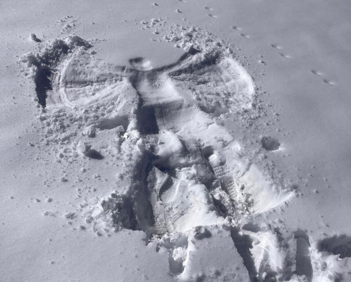 Snow angel made after the  Boston blizzard.